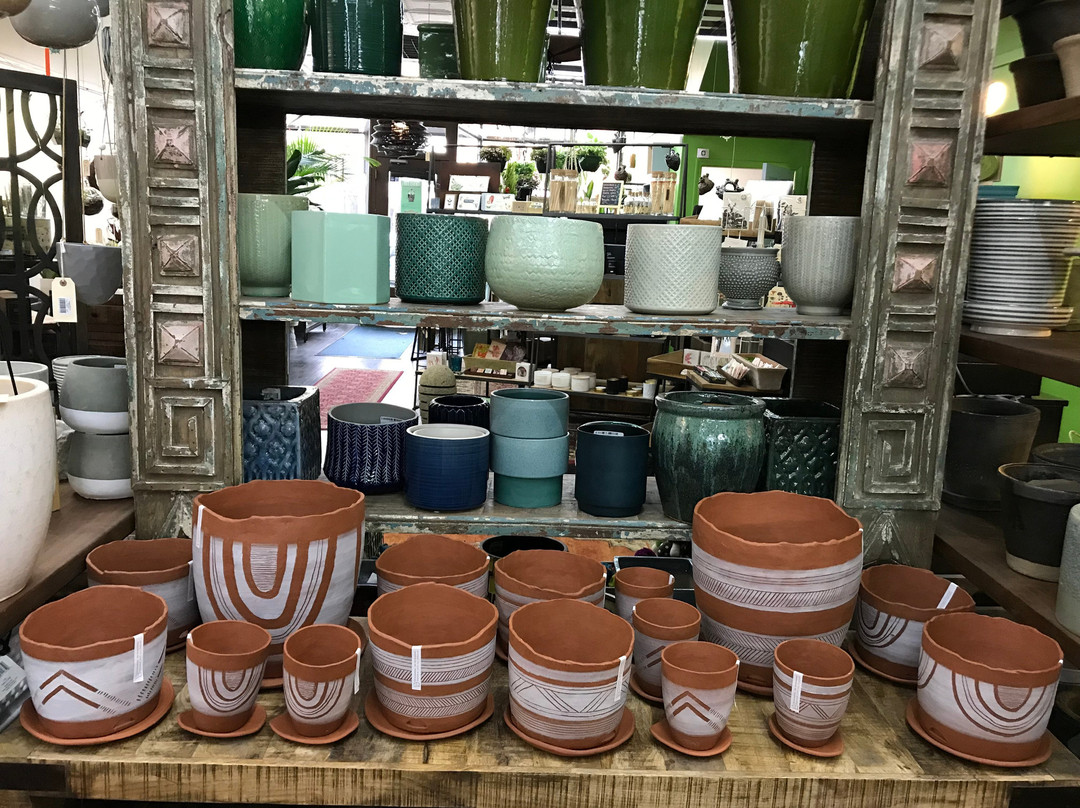 Cultivate Urban Rainforest & Gallery-埃文斯顿必去景点