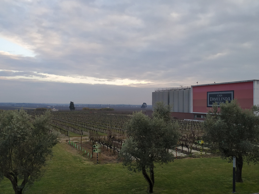 Casa Ermelinda Freitas-Palmela必去景点