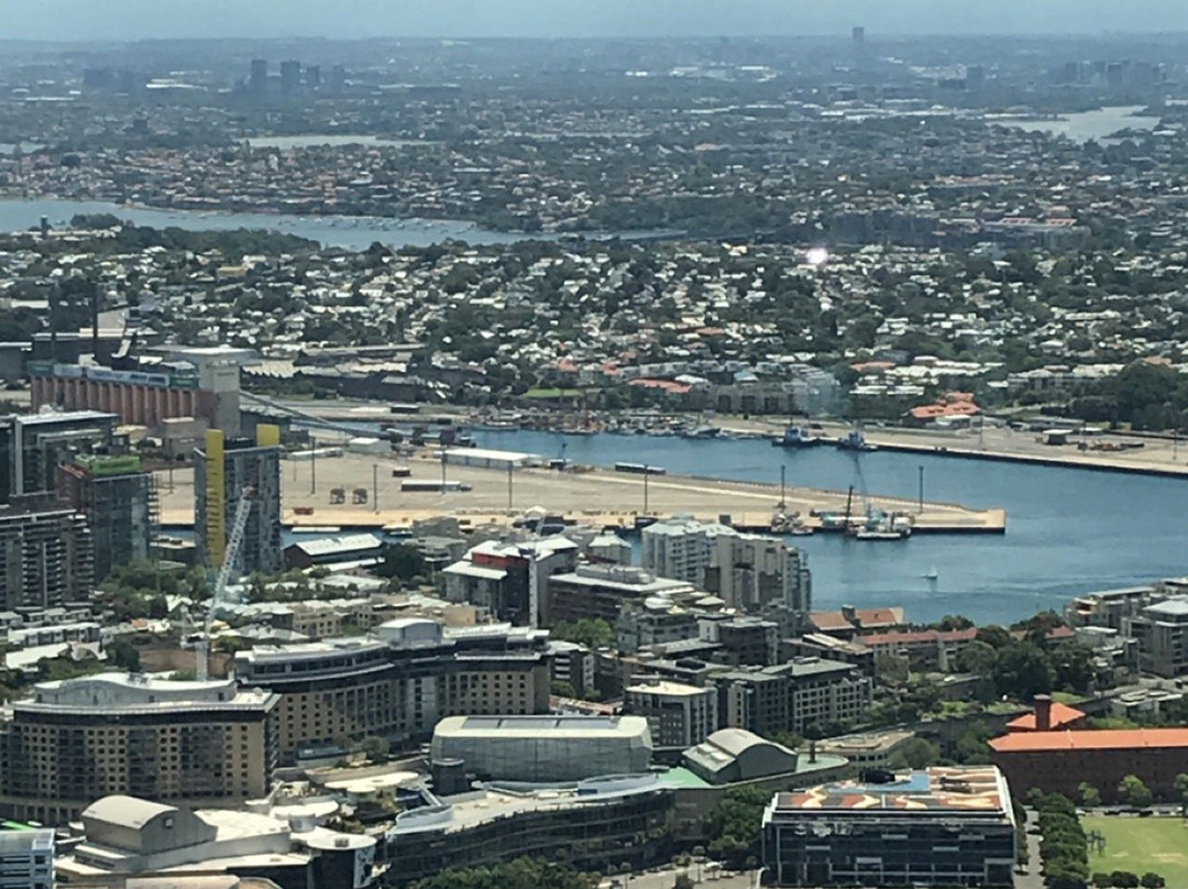 悉尼塔+历险澳洲景点图片