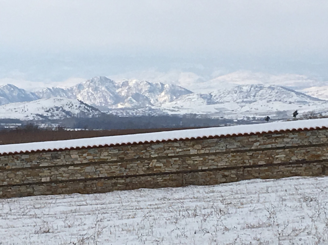 Orbelus Organic Winery-Blagoevgrad必去景点
