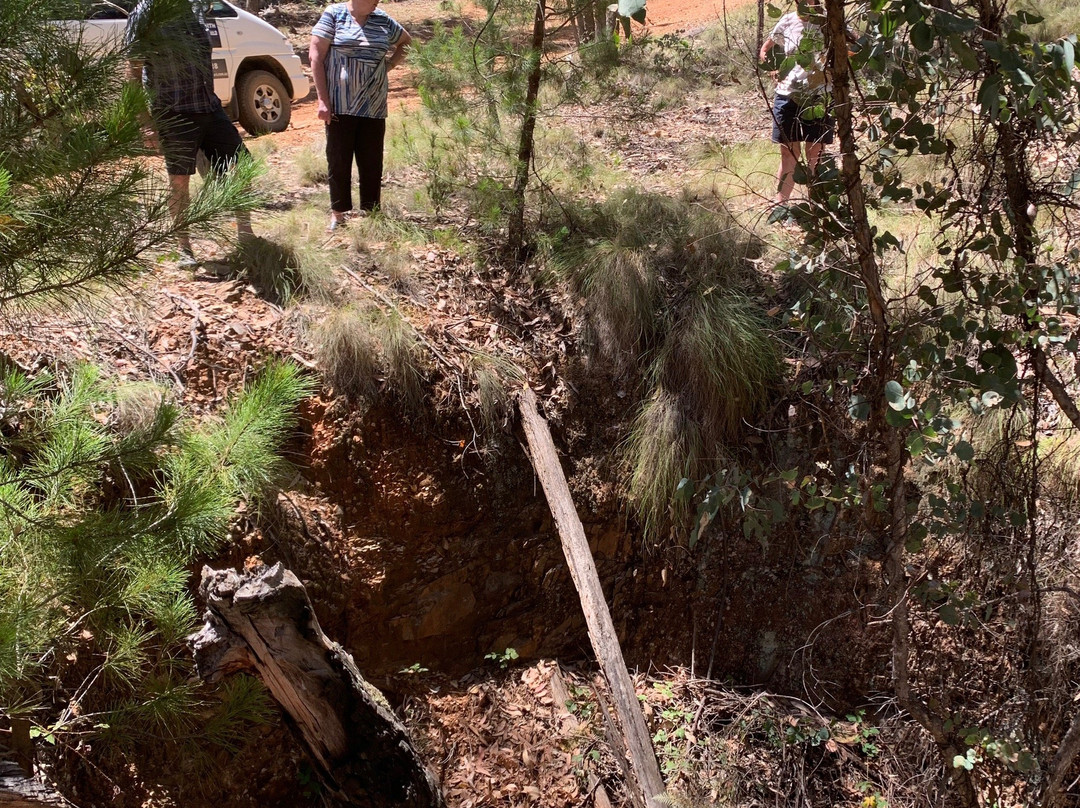 Beechworth Historic Goldfield Tours-比奇沃思必去景点