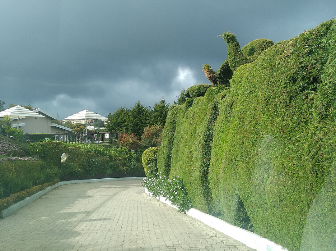 Club Mahindra Derby Green, Ooty主图