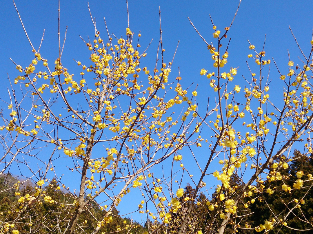 Robai no Sato-鹿沼市必去景点