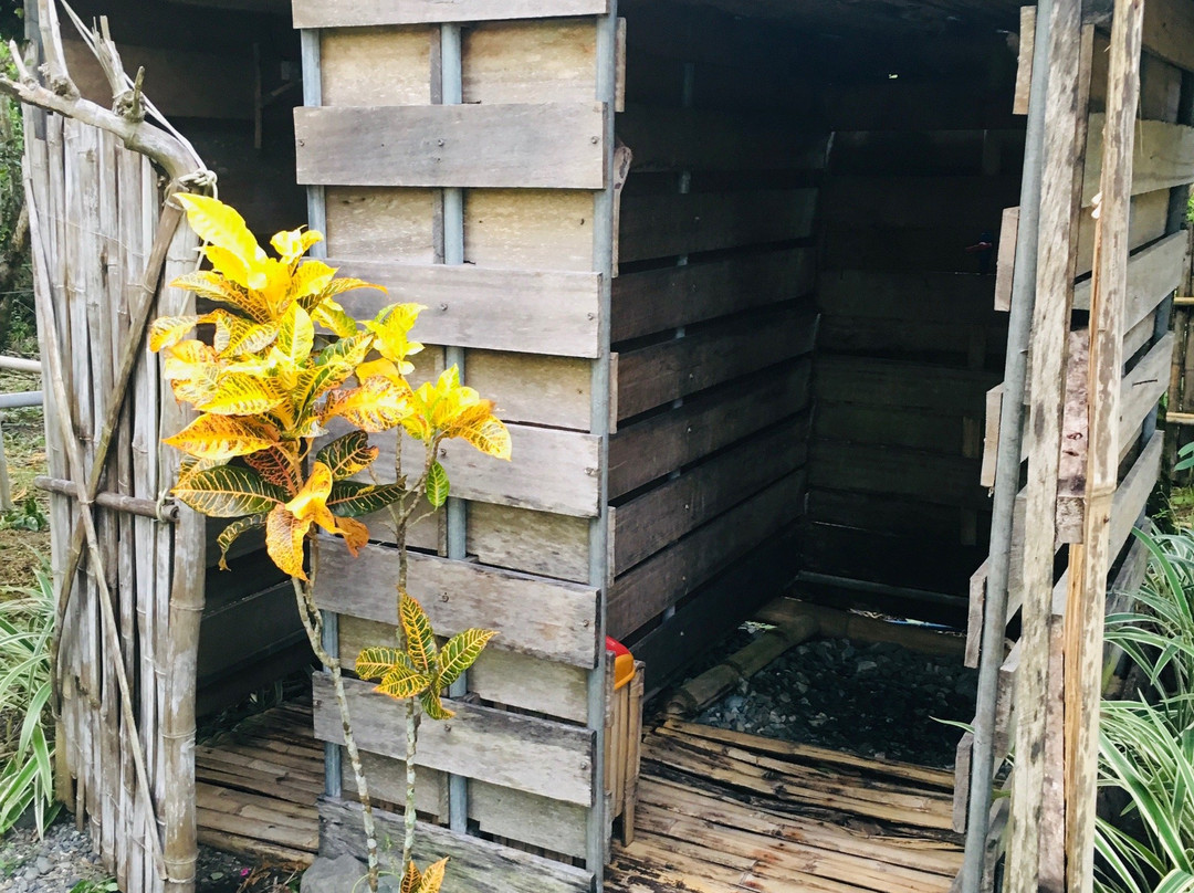 The Easy Adventure主图