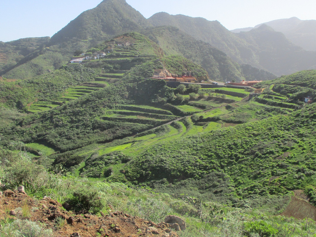 Montes de Tenerife-圣克鲁斯-德特内里费必去景点
