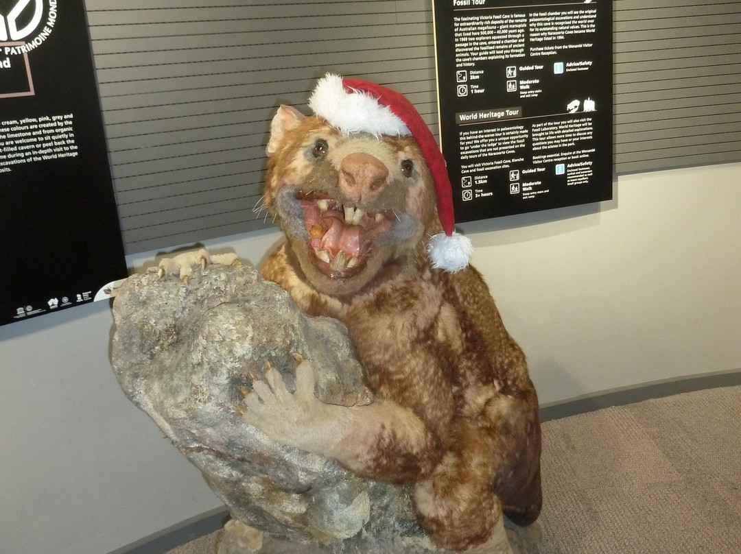 Wonambi Fossil Centre-Naracoorte必去景点