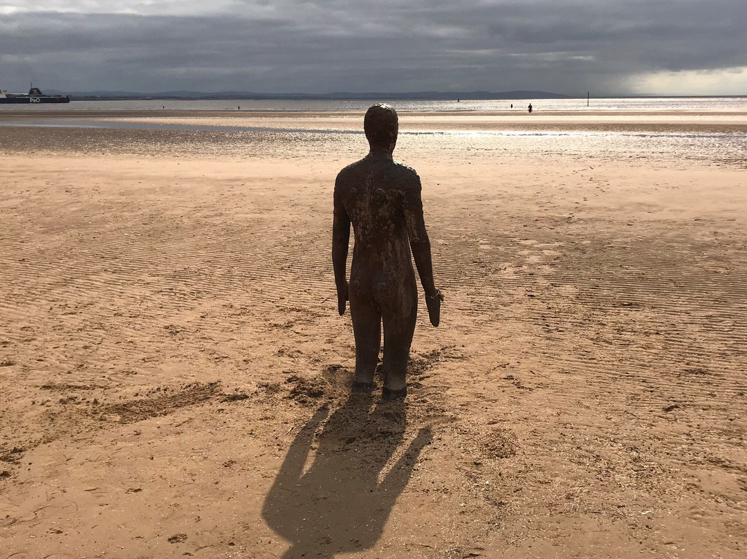 Crosby Beach-克罗斯比必去景点