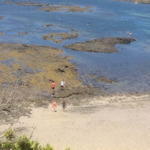 Flinders Beach景点图片