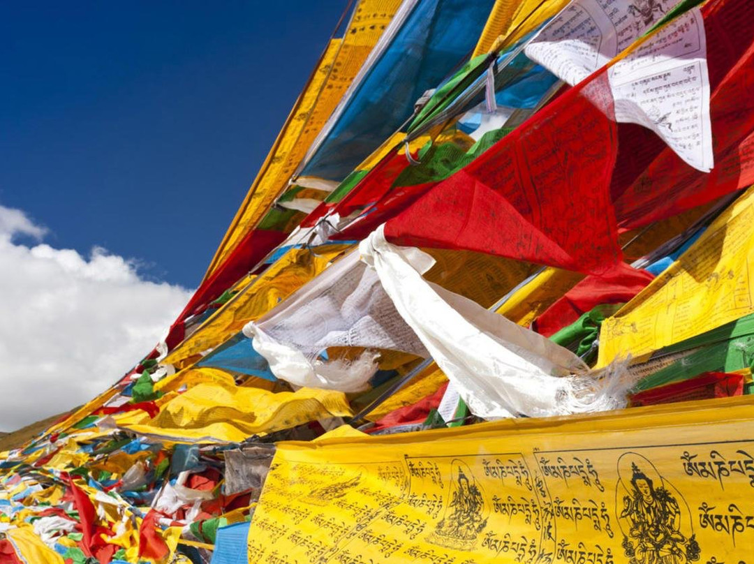 Discover China Trips景点图片