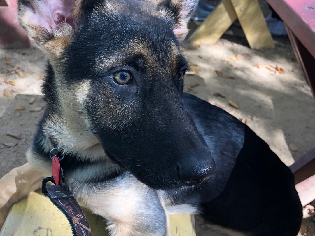 自行车行-达拉斯必去景点