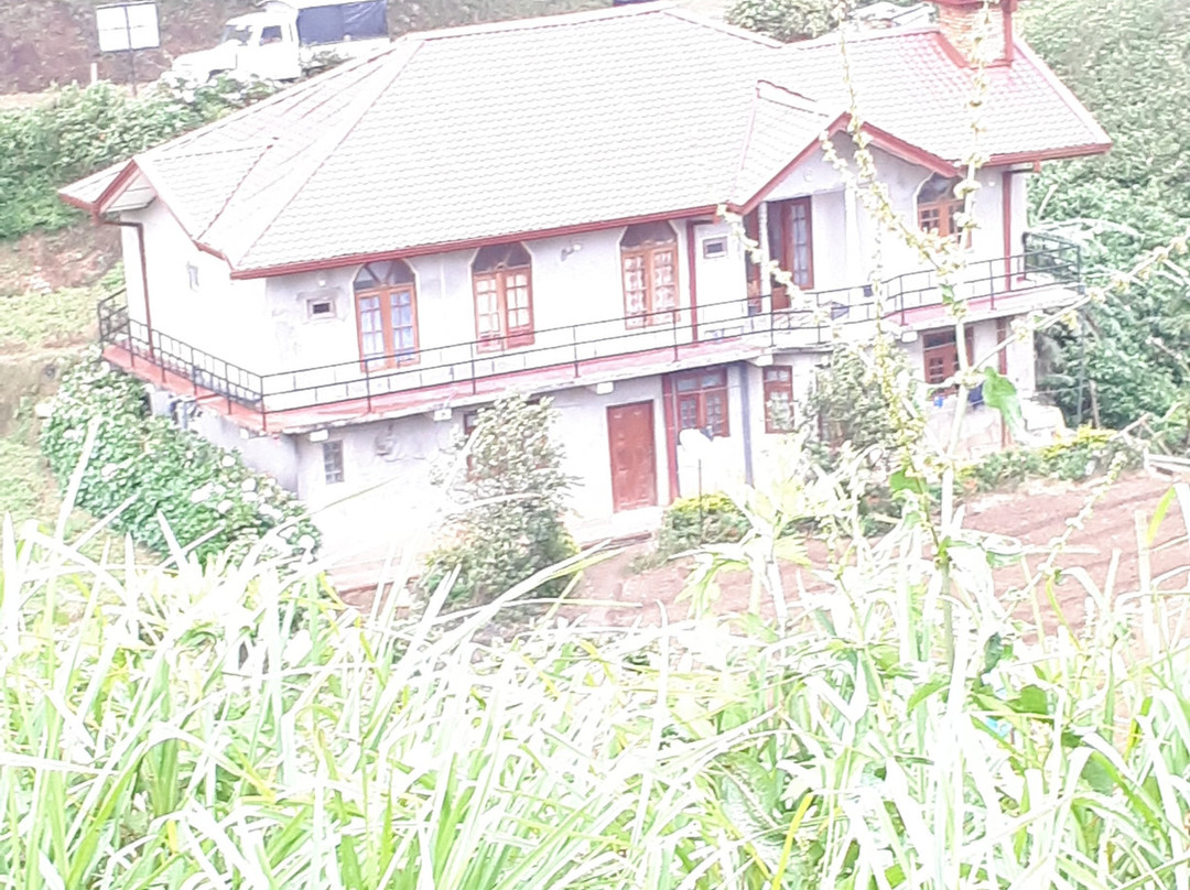 Sushi Guesthouse主图