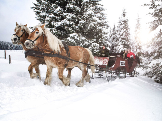 Pferdefuhrhalterei Winterberg-Winterberg必去景点