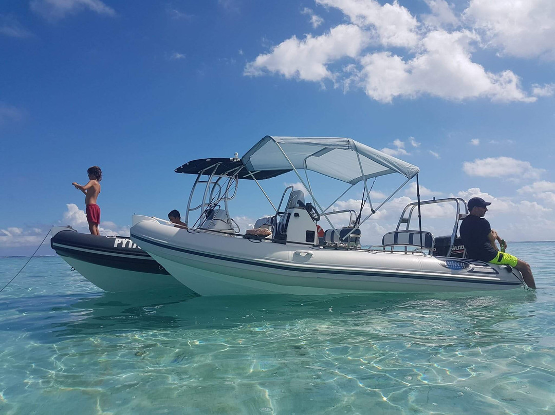 Private Boat-普纳奥亚必去景点