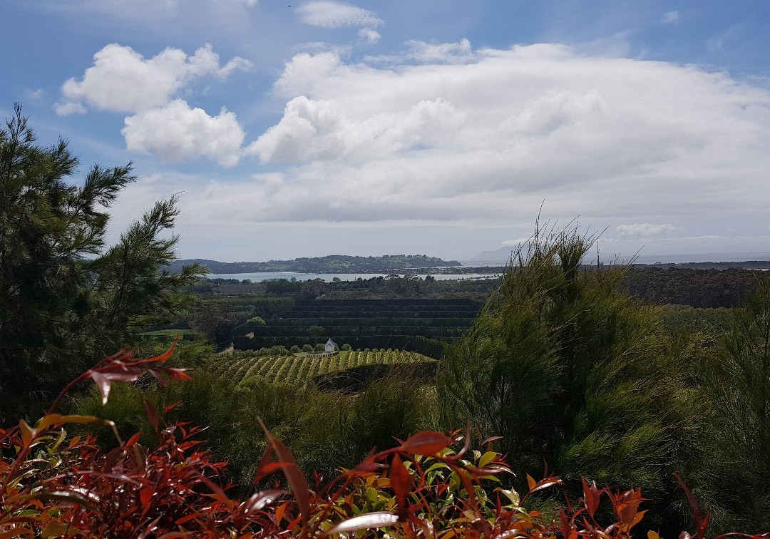 Omaha Bay Vineyard景点图片