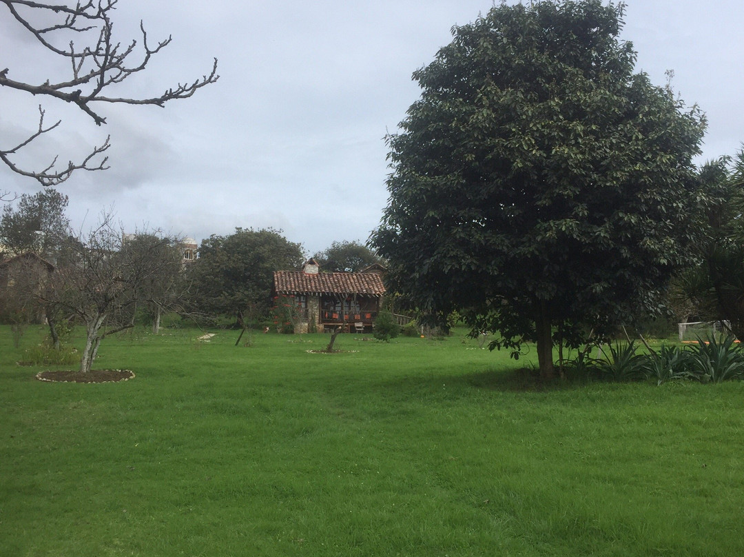 La Tierra Grande主图