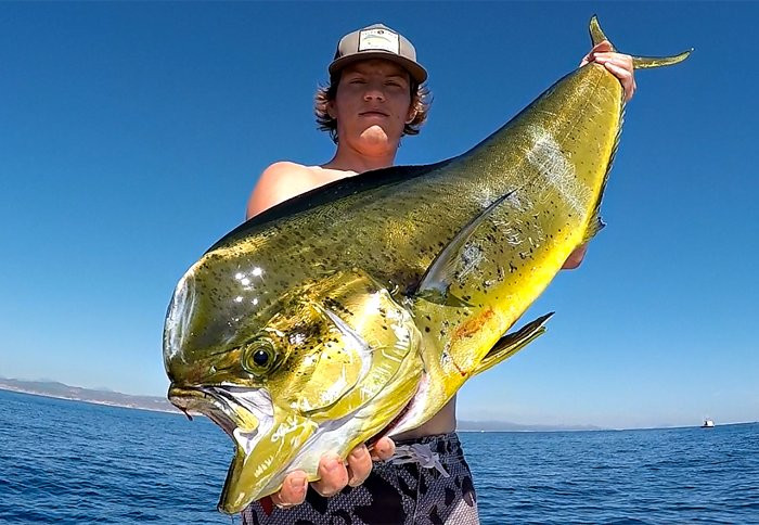 Los Barriles Sportfishing景点图片