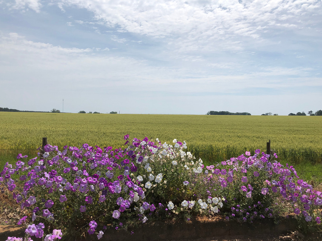 Georgia Visitor Information Center - Plains-Plains必去景点