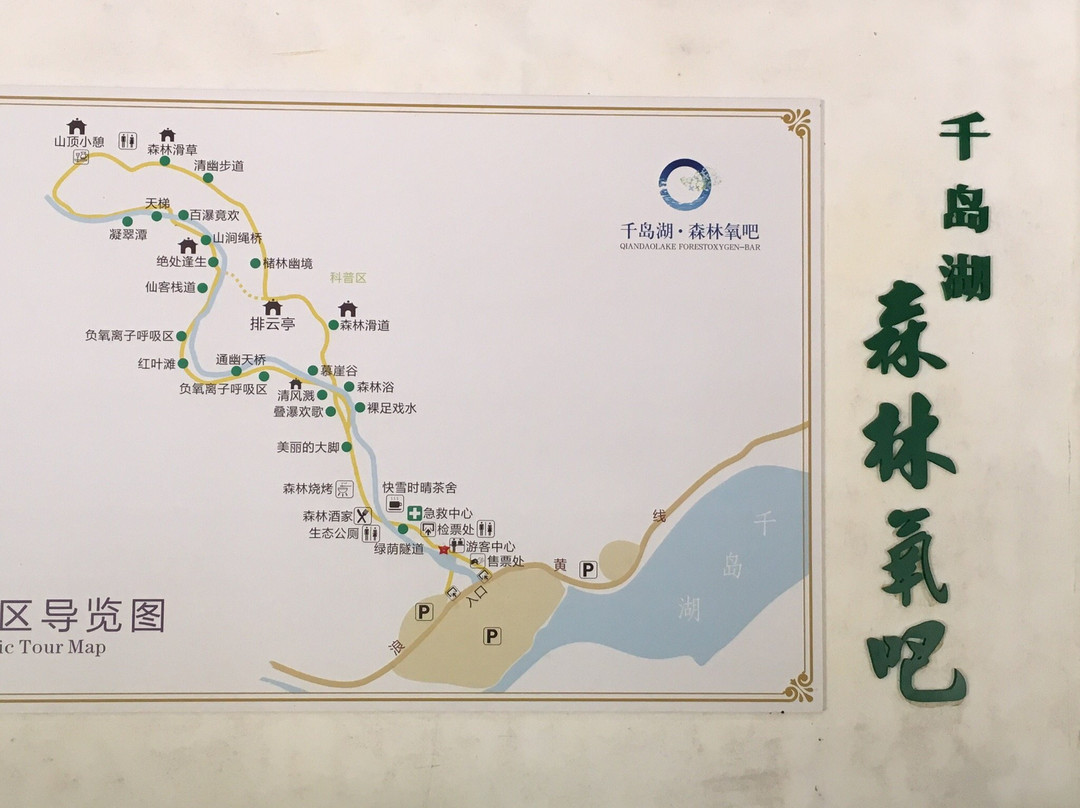 千岛湖森林氧吧-淳安县必去景点