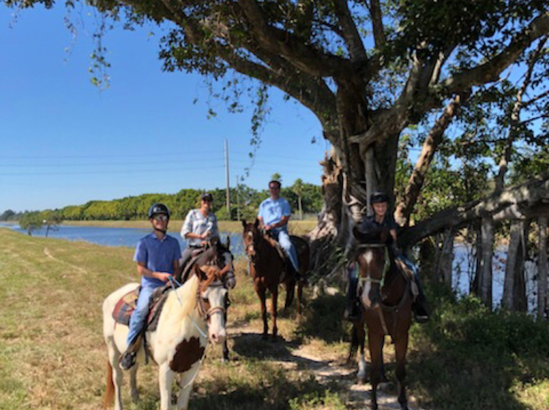 American Horse Trails-戴维必去景点