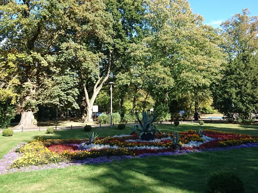 Park miejski Plac 18 Marca