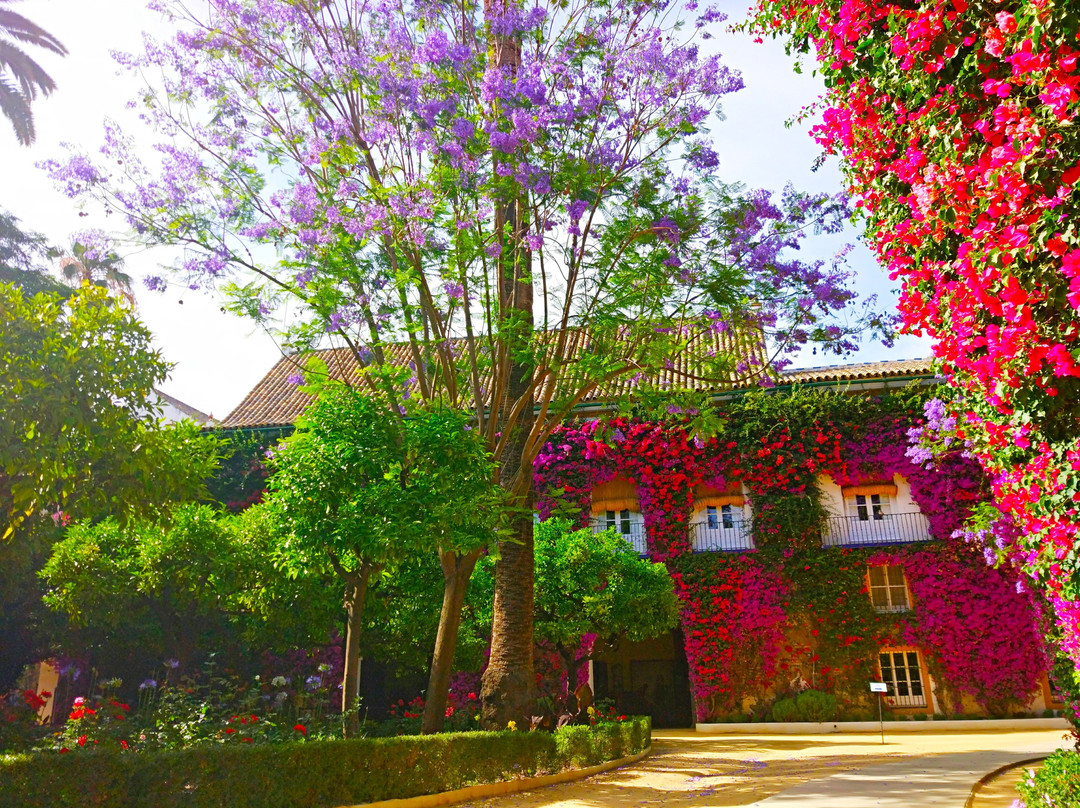 Palacio De Las Duenas-塞维利亚必去景点