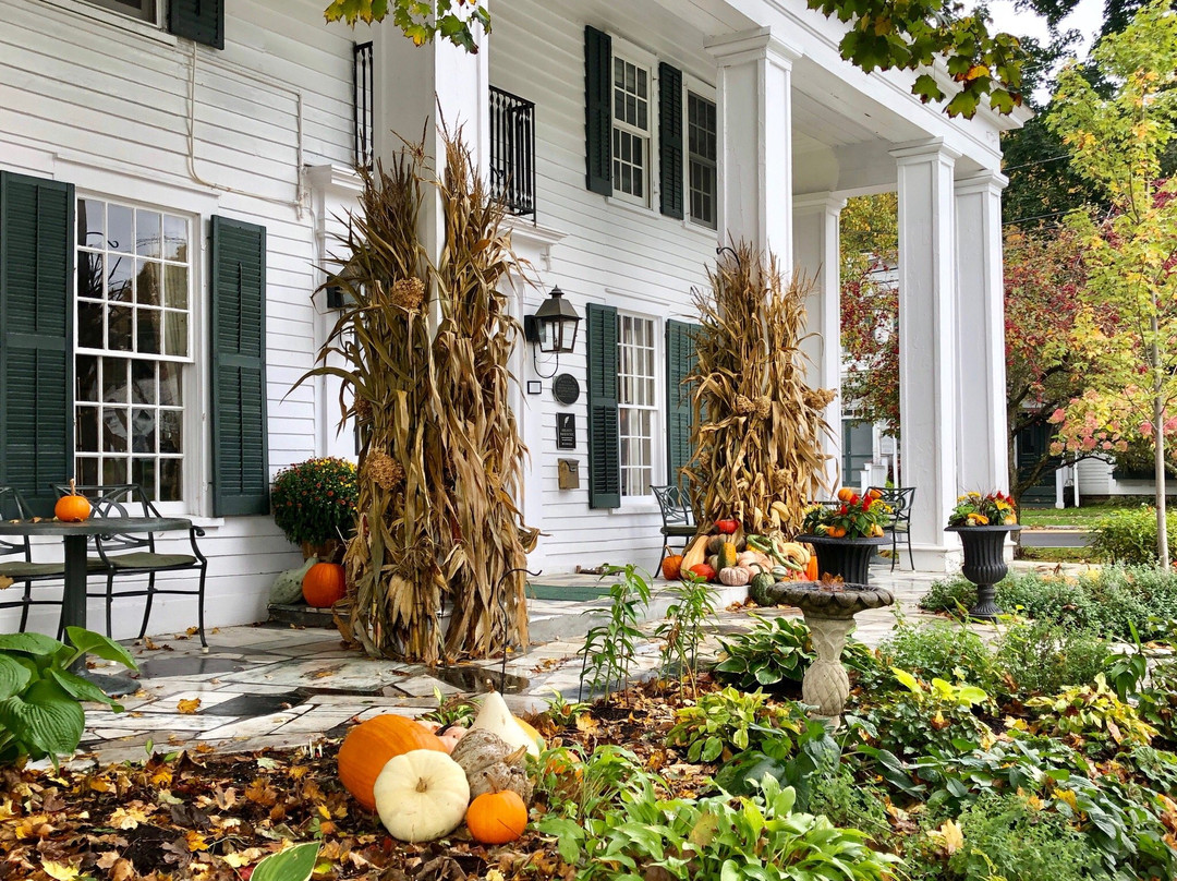 The Dorset Inn主图