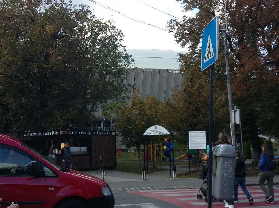 Cluj Arena景点图片