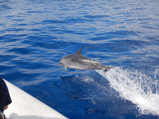 Oceansee-沙尔必去景点