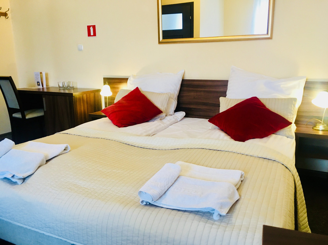 Hotel Pod Jeleniem主图