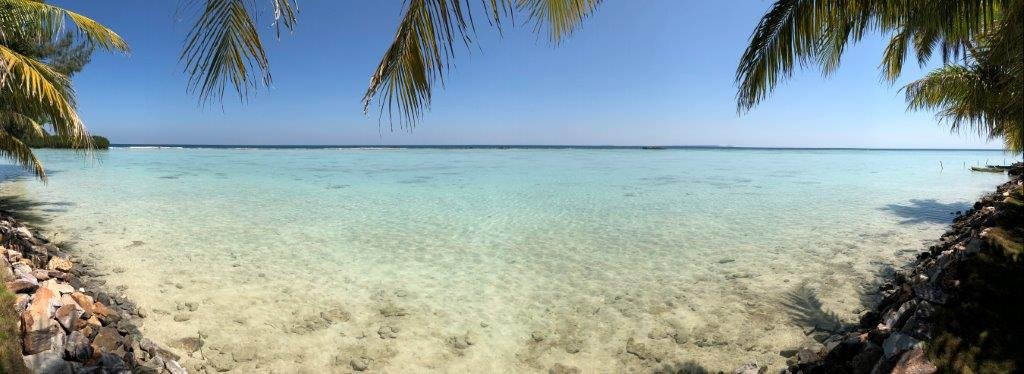 Kura Kura Resort主图