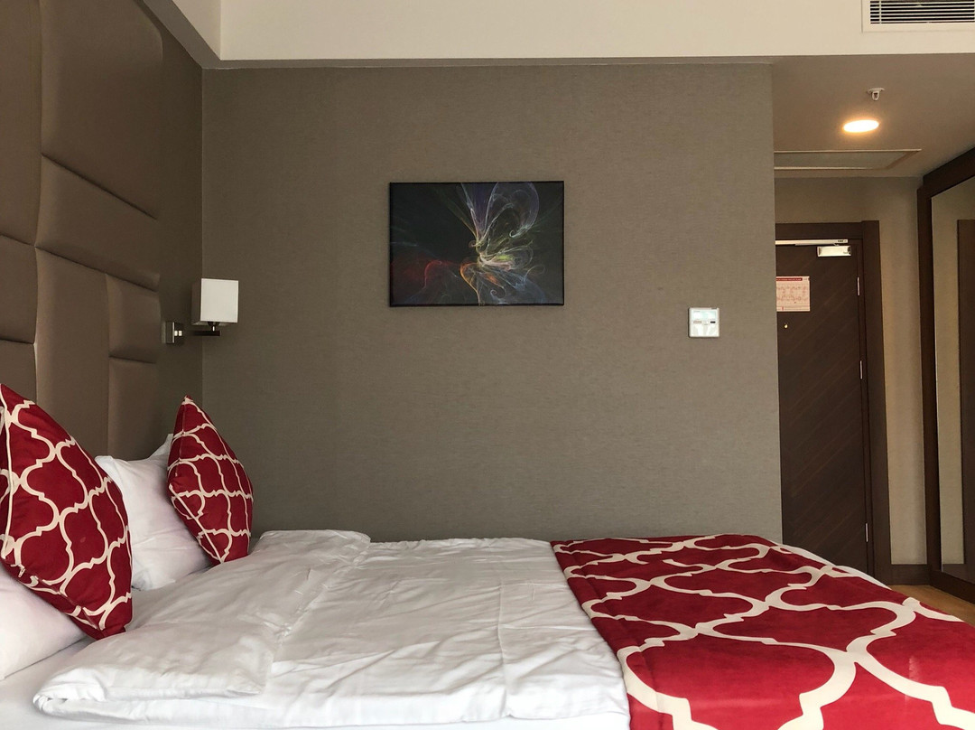 Demircioglu Park Hotel主图