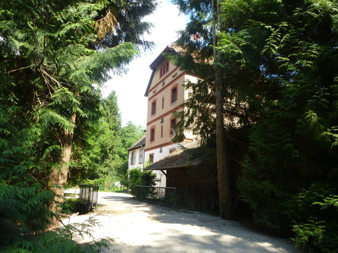 Parc et Jardin du Château de Kolbsheim景点图片
