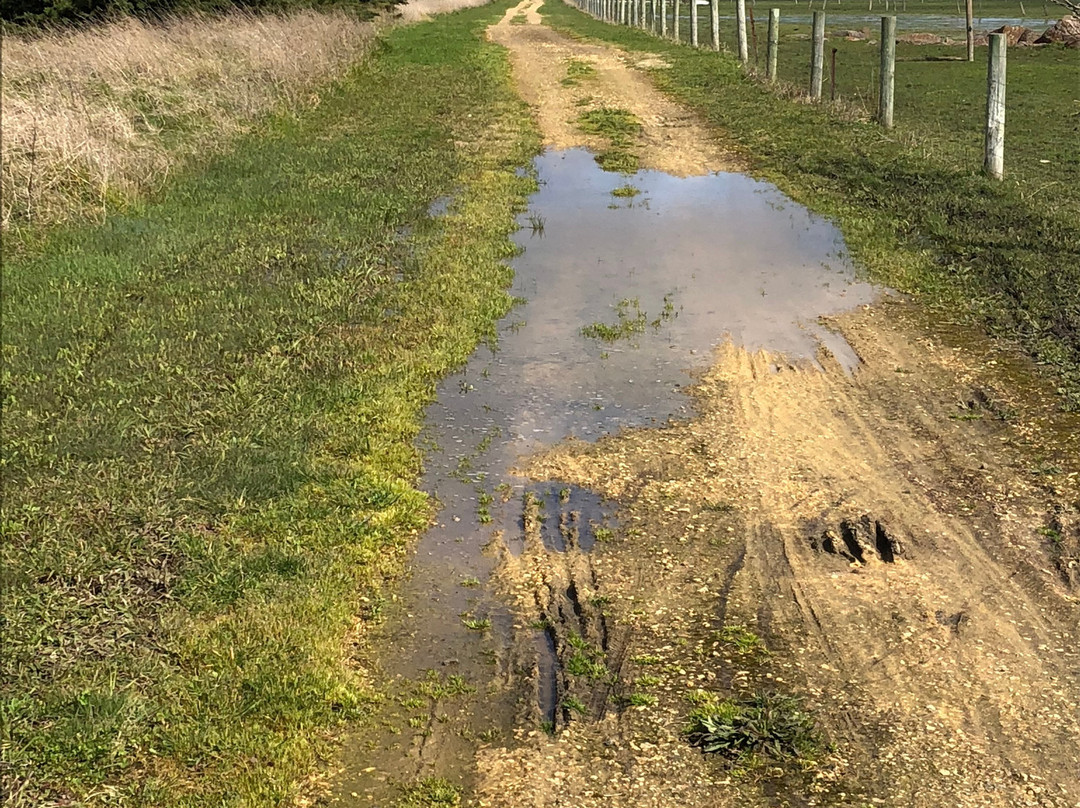Port Fairy to Warrnambool Rail Trail-瓦南布尔必去景点