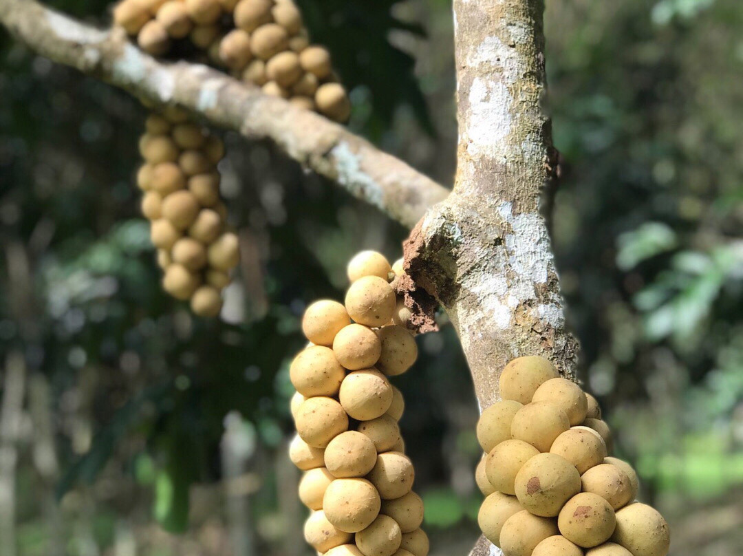 Khao Teppitak-万打坤必去景点