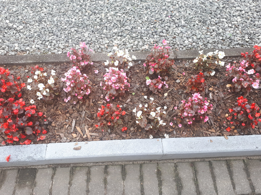 Hotel 10 Joinville主图