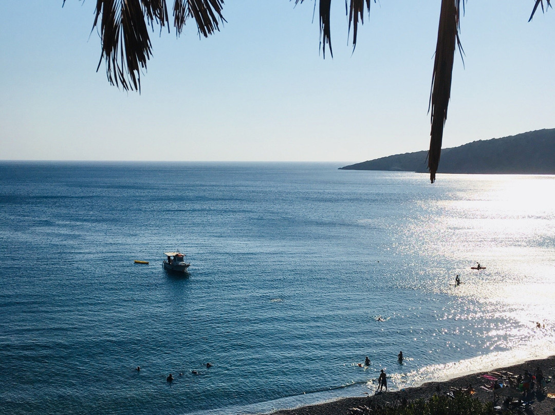 Apothika Beach Scuba & Kayak beach-Mesta必去景点
