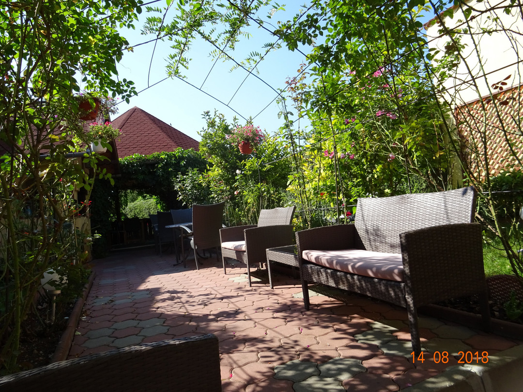 Pensiunea Magnolia主图