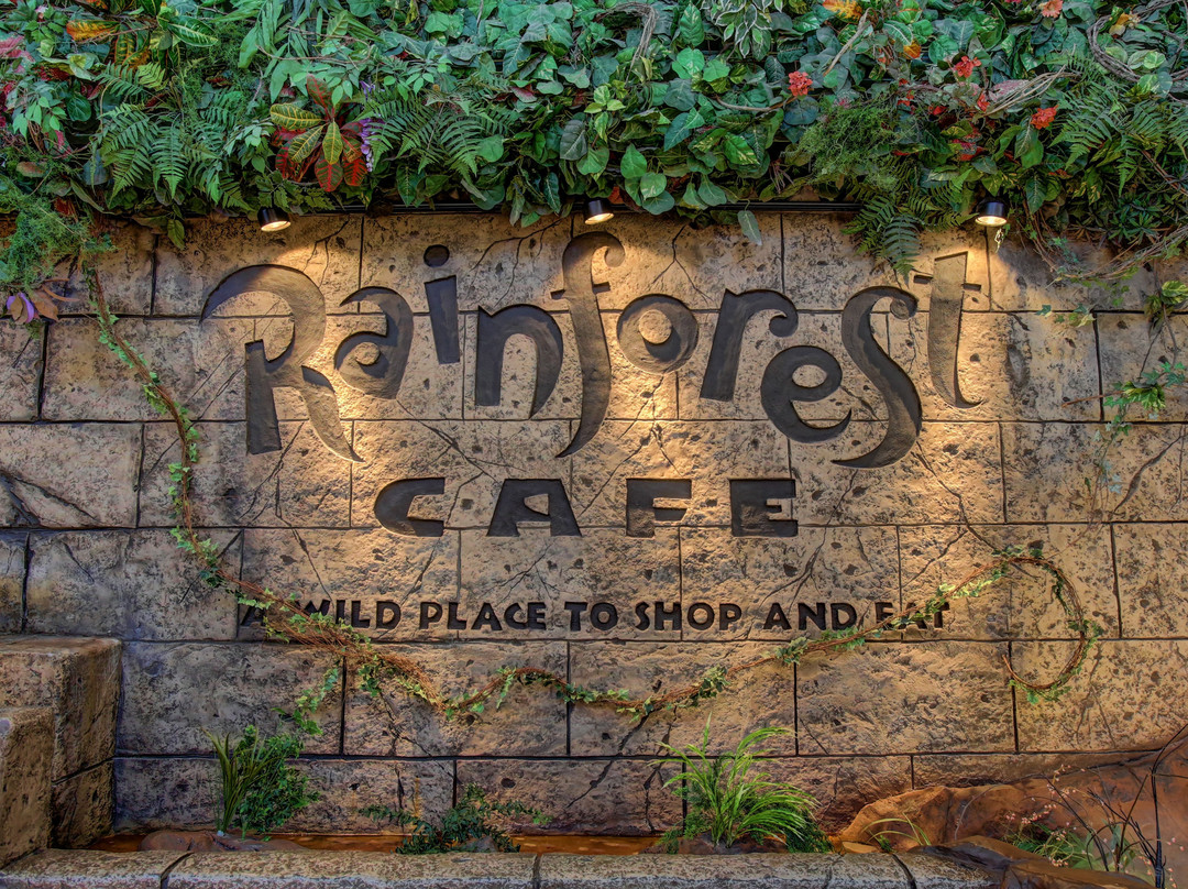 Rainforest Cafe