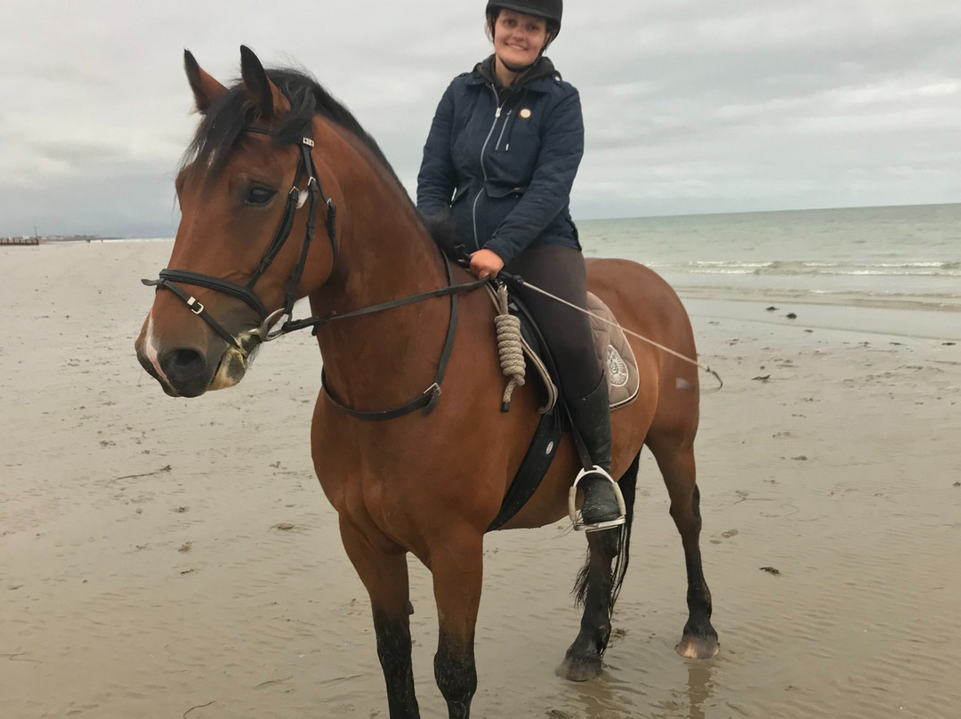 Catherington Equestrian Centre景点图片