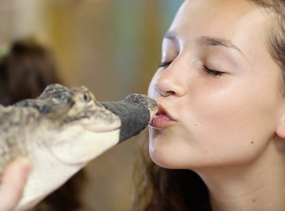 Tampa Bay Rescues-马德拉海滩必去景点