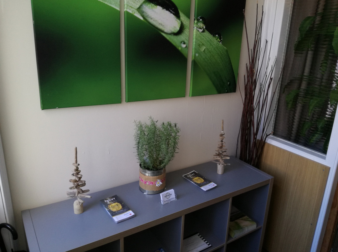 Driftwood Bed & Breakfast主图