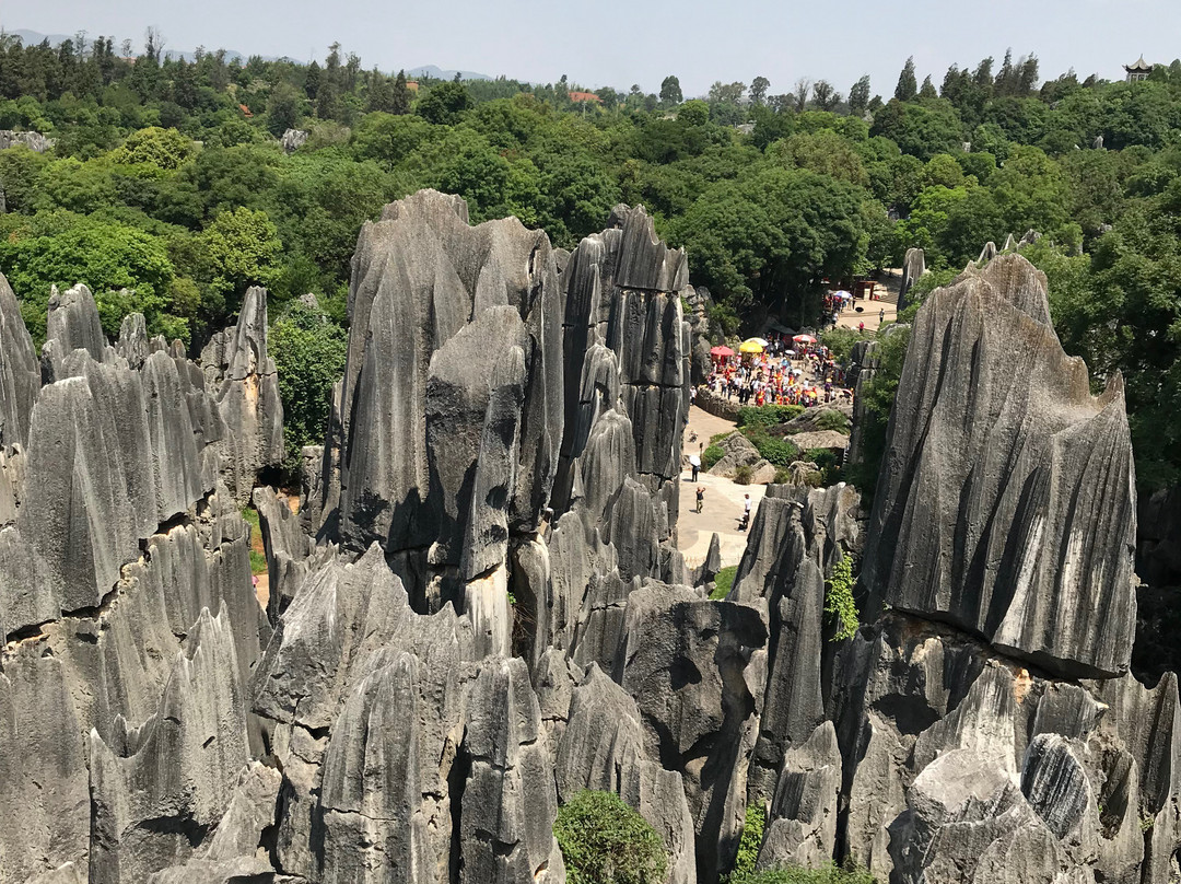 钟灵山森林公园-寻甸回族彝族自治县必去景点