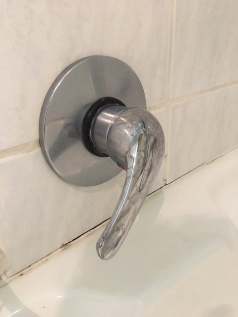 Albatross Guesthouse主图