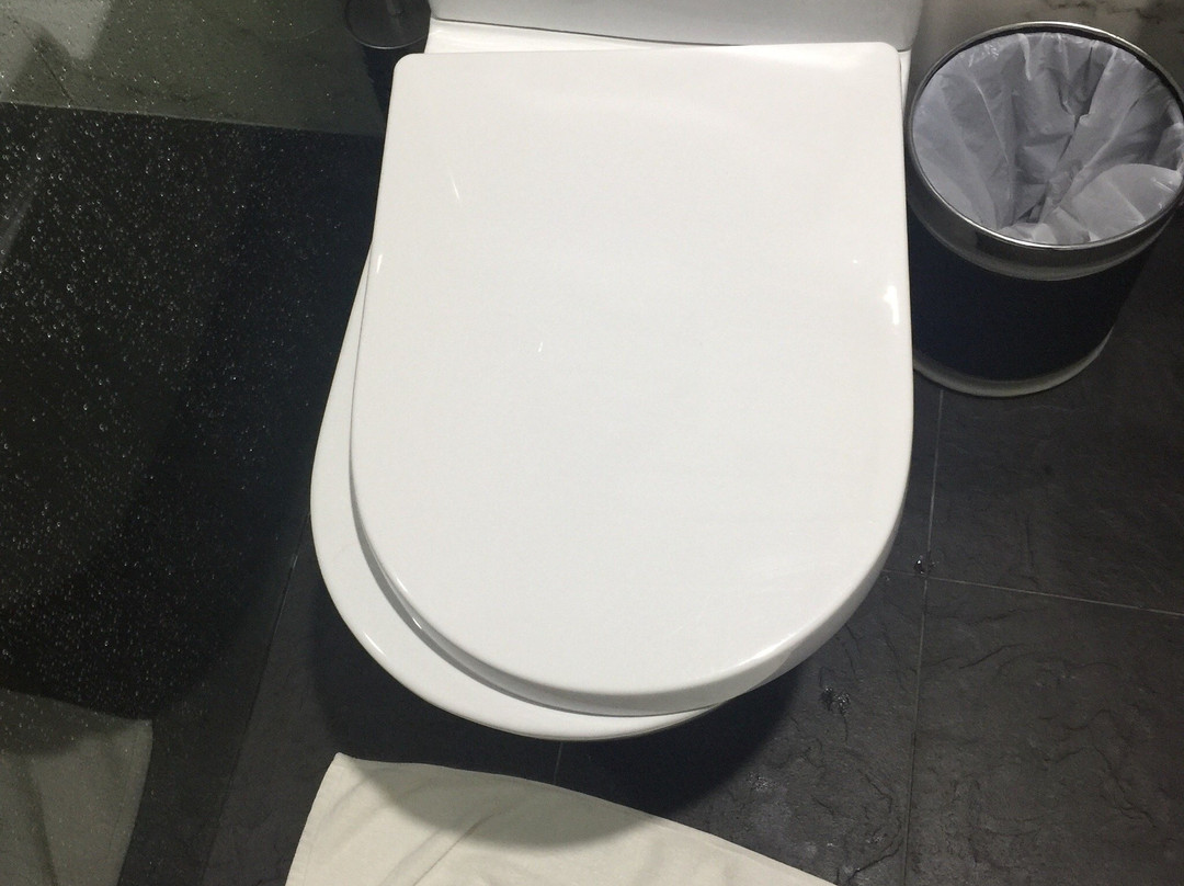 Areca Launceston主图