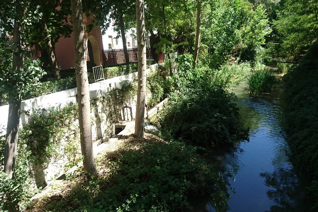 Balneario de Alhama de Granada Hotel主图