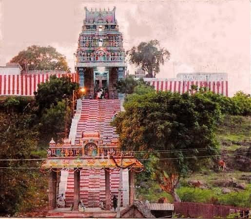 Sriperumbudur旅游攻略图片