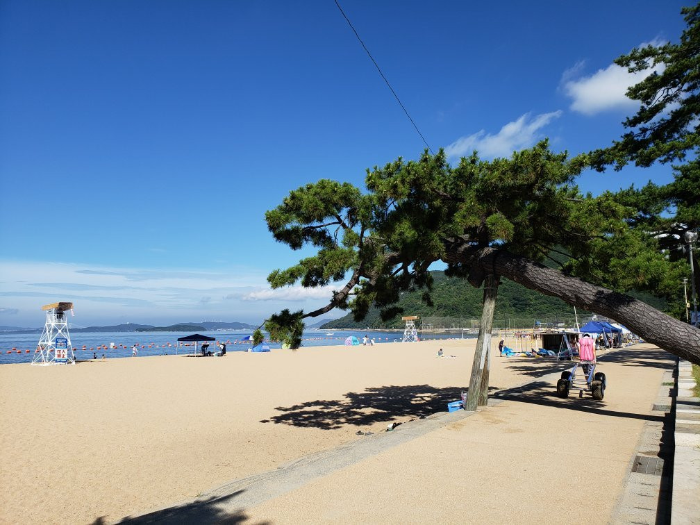 Shibukawa Coast景点图片