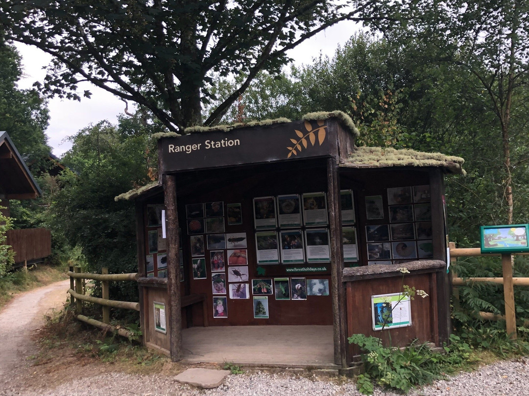 Forest Holidays Deerpark Cornwall
