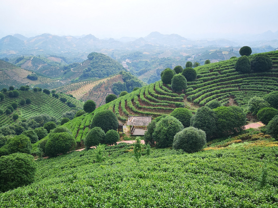 Truly China Travel-桂林市必去景点