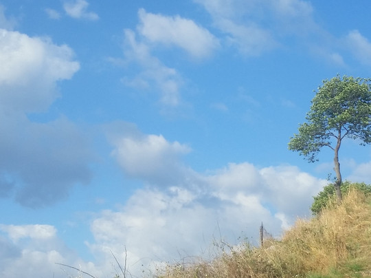 Porta Saracena-Segni必去景点